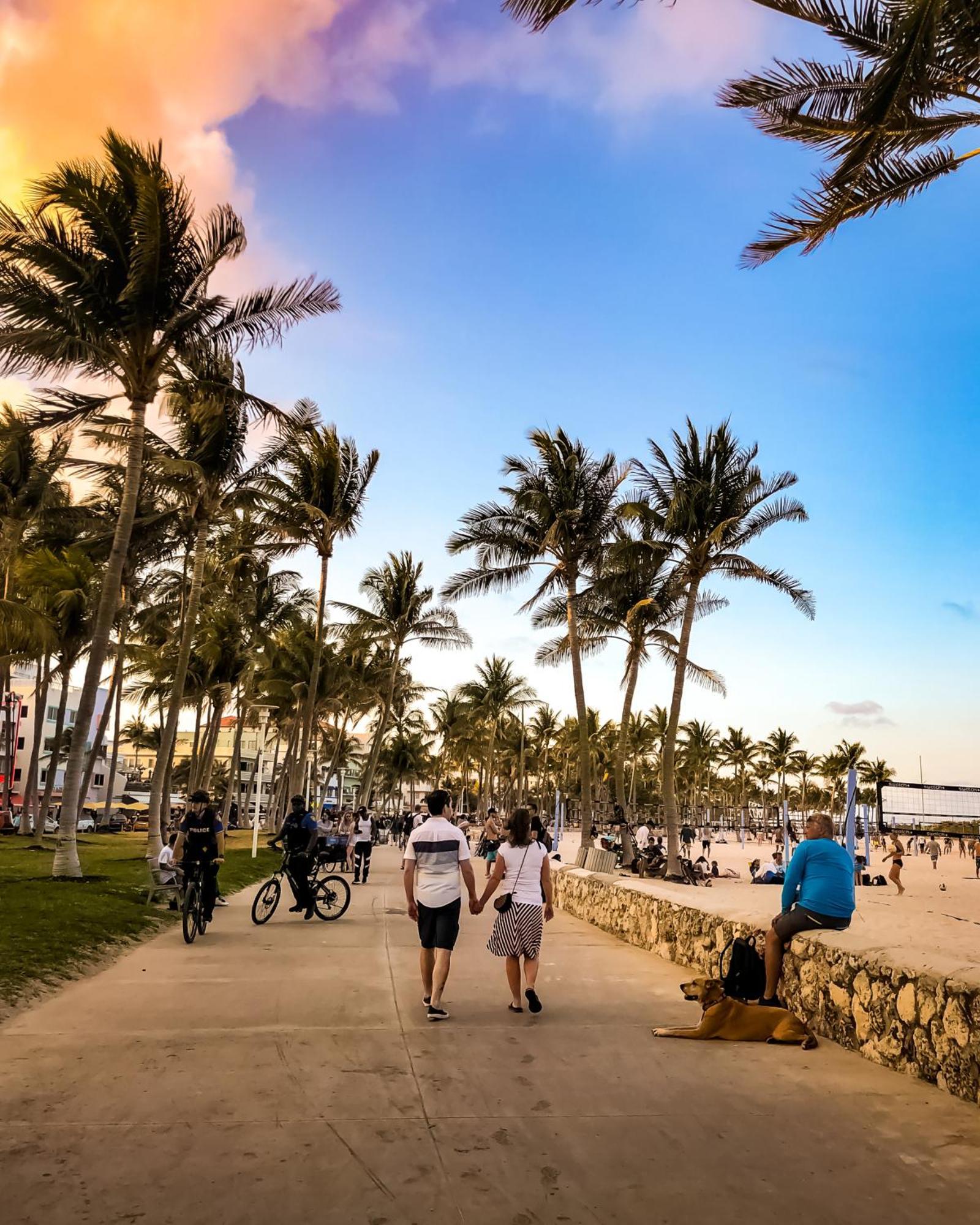 Beachfront Bentley Hotel One Bedroom Suite With Balcony And Beach Access Miami Beach Exteriör bild